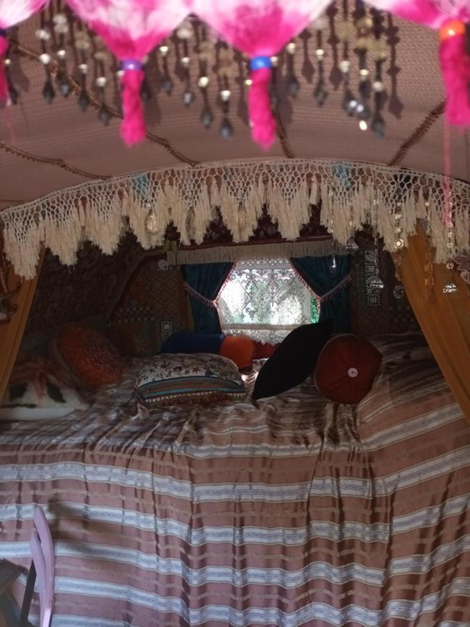 Appartement Roulotte bohémienne à Groléjac Extérieur photo